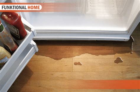 5 Easy Ways to Fix Kenmore Fridge Leaking Water Now